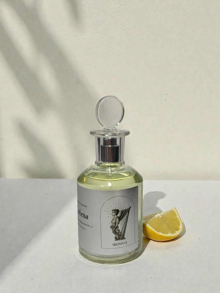 Foto 28 07 25 9 48 41 pm Photoroom 1 768x1024