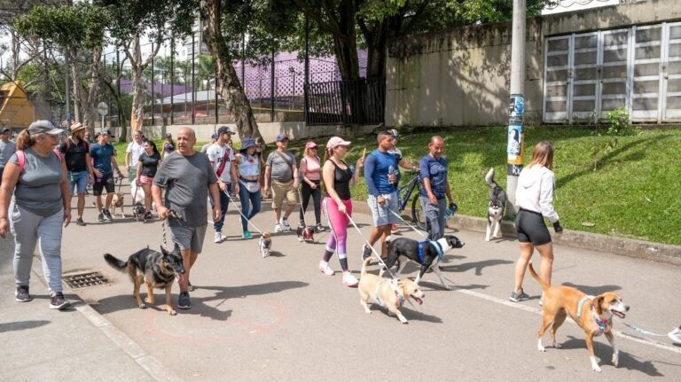 ciclovia walk 768x431